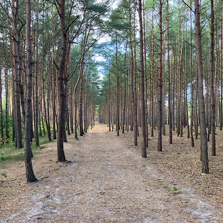 Baltic * Władysławowo